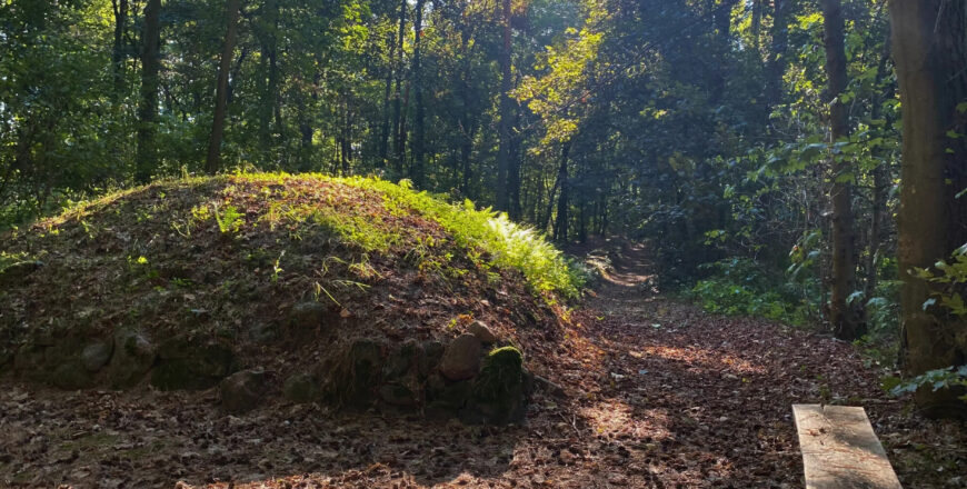 GrobowceMegalityczneKujawy5.jpg